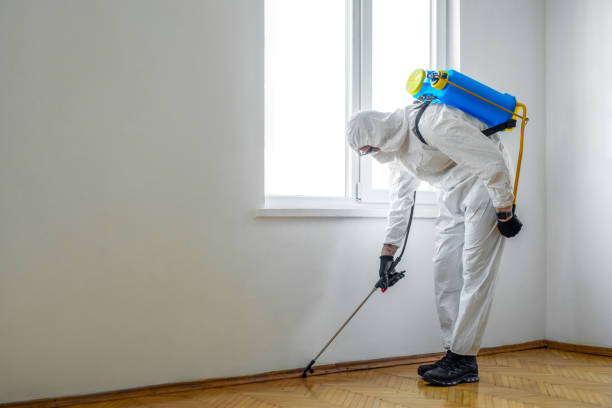 Professional Pest control in Cave Springs, AR